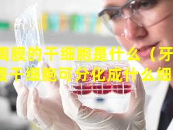 牙周膜的干细胞是什么（牙 🦈 周膜干细胞可分化成什么细胞）